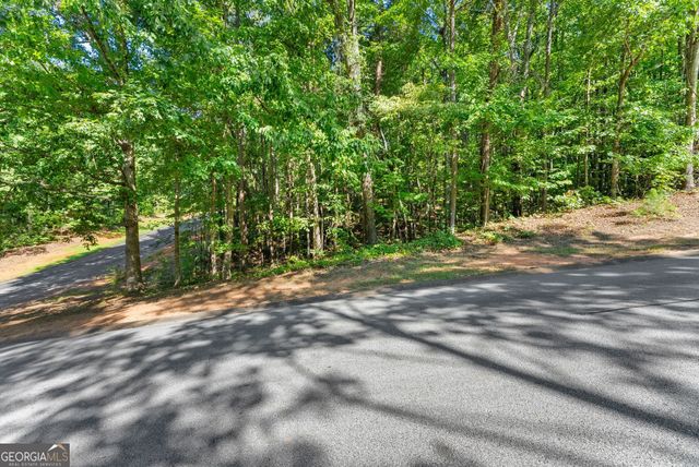 786 Cherry Court 718, Clarkesville, GA 30523