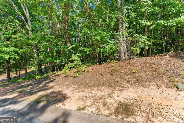 786 Cherry Court 718, Clarkesville, GA 30523