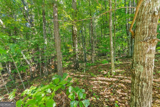 786 Cherry Court 718, Clarkesville, GA 30523