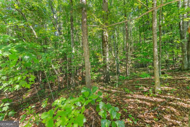 786 Cherry Court 718, Clarkesville, GA 30523