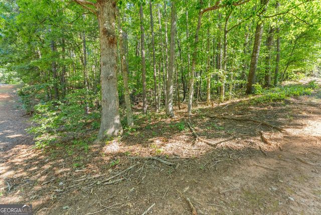 786 Cherry Court 718, Clarkesville, GA 30523