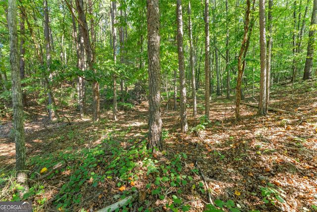 786 Cherry Court 718, Clarkesville, GA 30523