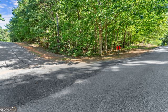 786 Cherry Court 718, Clarkesville, GA 30523