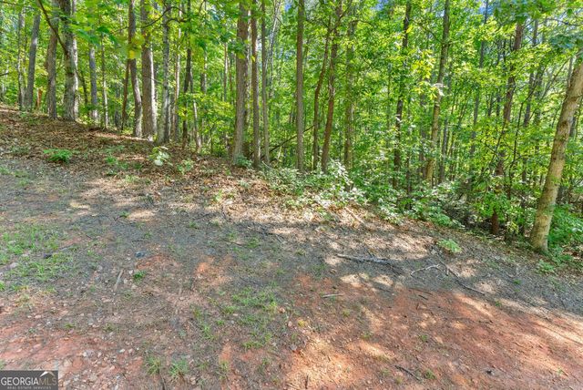 786 Cherry Court 718, Clarkesville, GA 30523