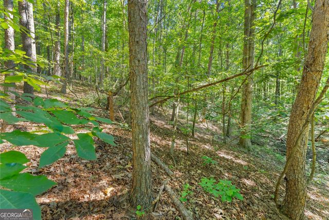 786 Cherry Court 718, Clarkesville, GA 30523