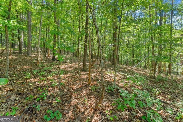 786 Cherry Court 718, Clarkesville, GA 30523