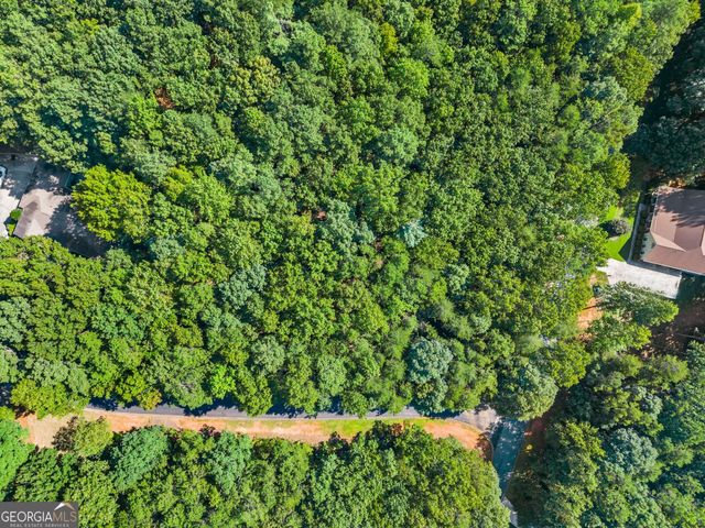 786 Cherry Court 718, Clarkesville, GA 30523