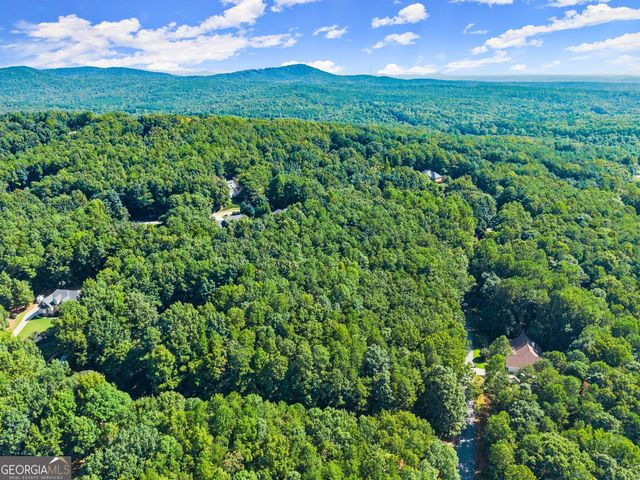 786 Cherry Court 718, Clarkesville, GA 30523