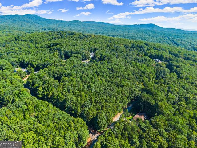786 Cherry Court 718, Clarkesville, GA 30523