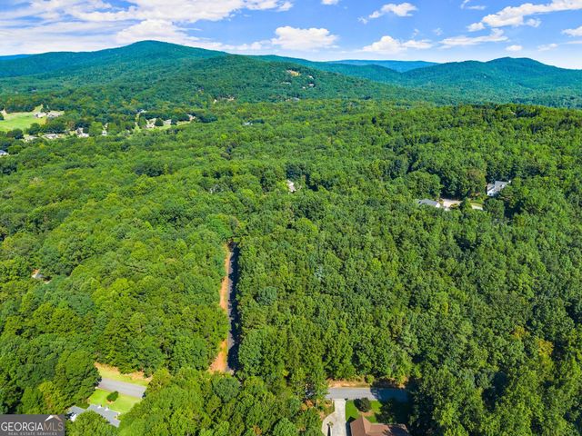 786 Cherry Court 718, Clarkesville, GA 30523
