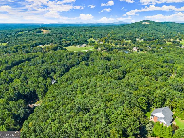 786 Cherry Court 718, Clarkesville, GA 30523