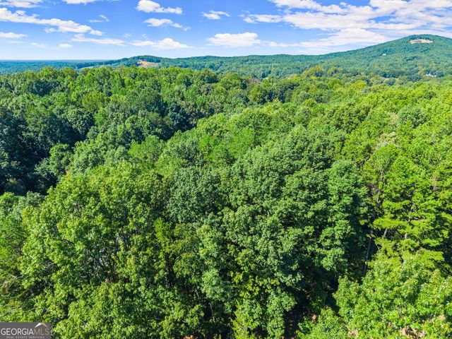 786 Cherry Court 718, Clarkesville, GA 30523
