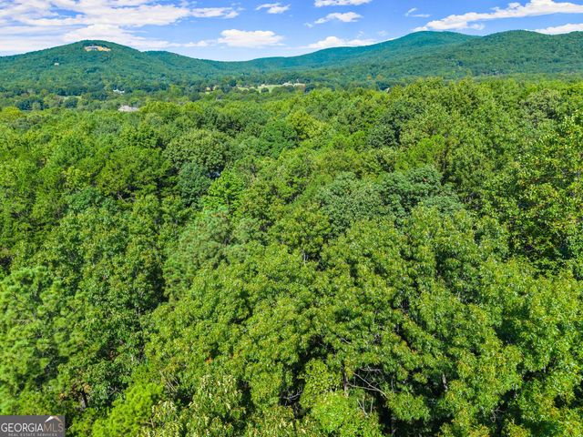786 Cherry Court 718, Clarkesville, GA 30523