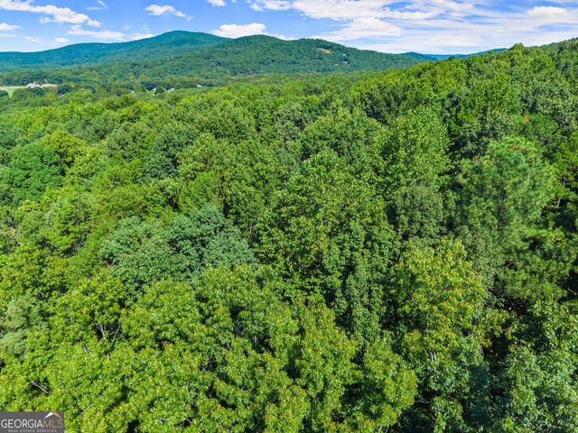 786 Cherry Court 718, Clarkesville, GA 30523