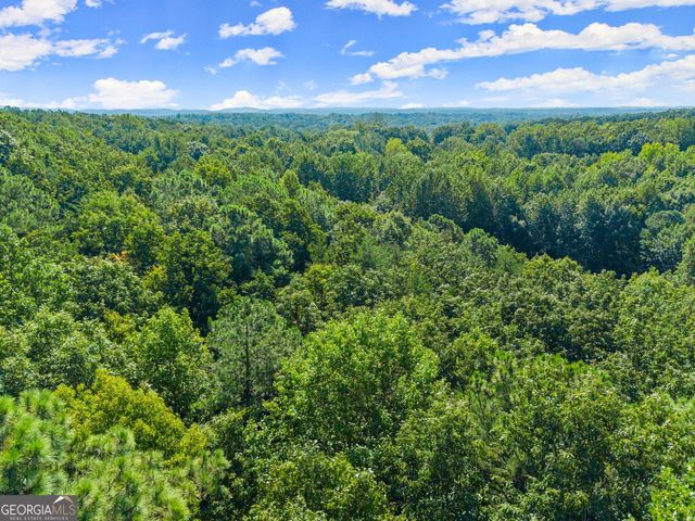 786 Cherry Court 718, Clarkesville, GA 30523