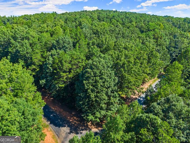 786 Cherry Court 718, Clarkesville, GA 30523