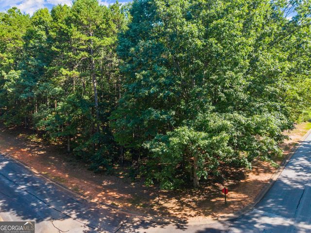 786 Cherry Court 718, Clarkesville, GA 30523