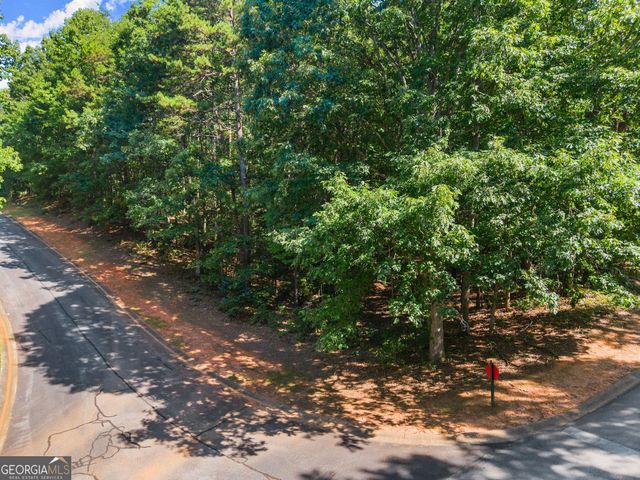 786 Cherry Court 718, Clarkesville, GA 30523