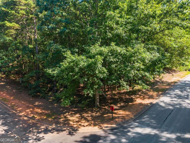 786 Cherry Court 718, Clarkesville, GA 30523
