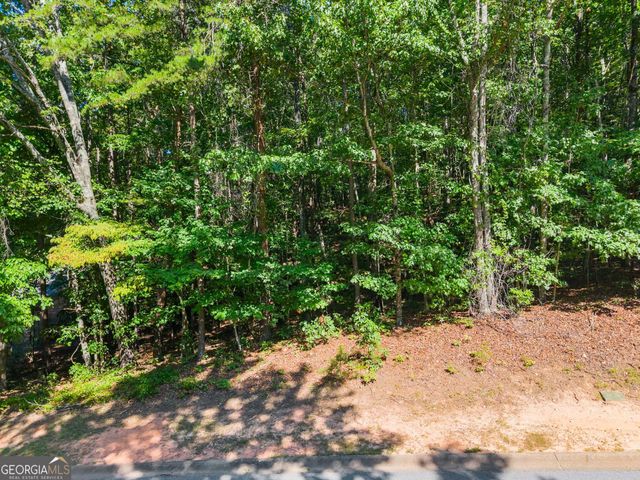 786 Cherry Court 718, Clarkesville, GA 30523