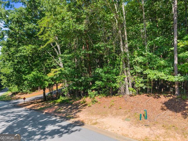 786 Cherry Court 718, Clarkesville, GA 30523