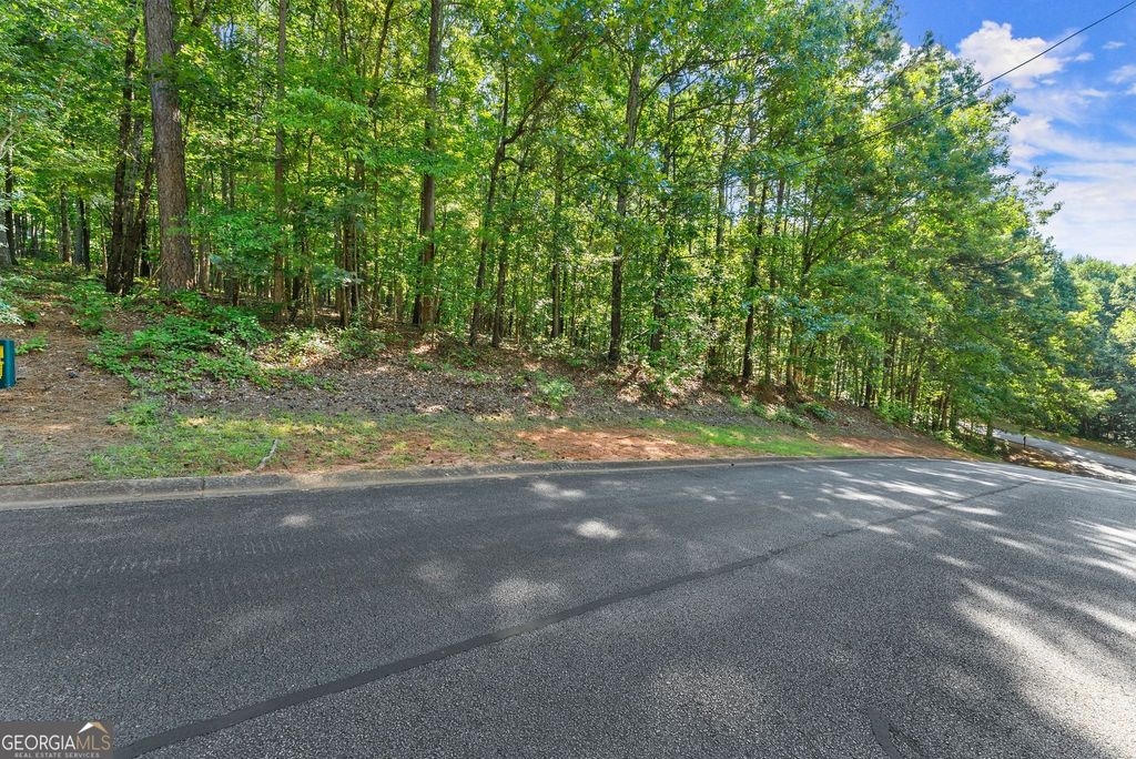 786 Cherry Court 718, Clarkesville, GA 30523
