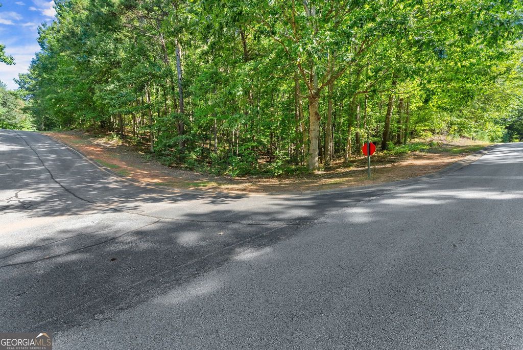 786 Cherry Court 718, Clarkesville, GA 30523 — photo 2