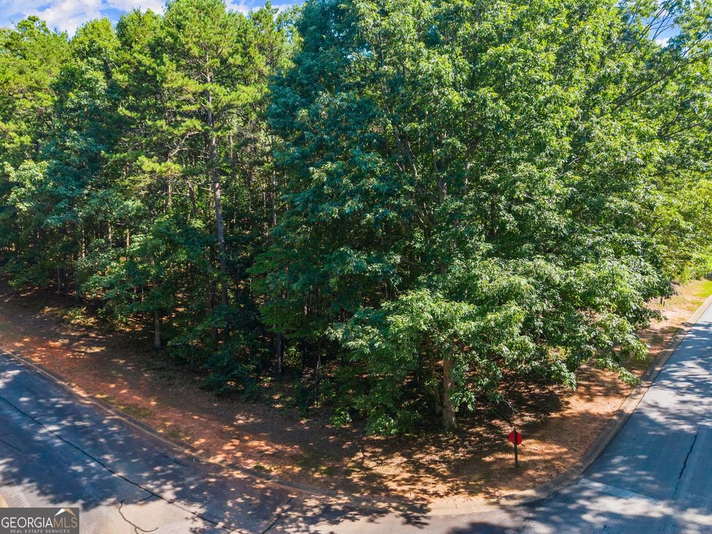786 Cherry Court 718, Clarkesville, GA 30523 — photo 5