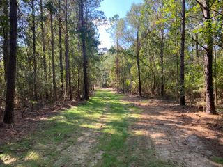 45 Acres Eddie Smith Rd., Hattiesburg, MS 39401