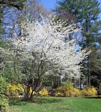 87 Pickens Street, Lakeville, MA 02347