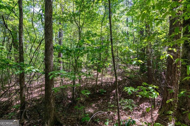45 Cornish Trace Drive, Covington, GA 30014
