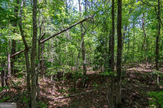 45 Cornish Trace Drive, Covington, GA 30014