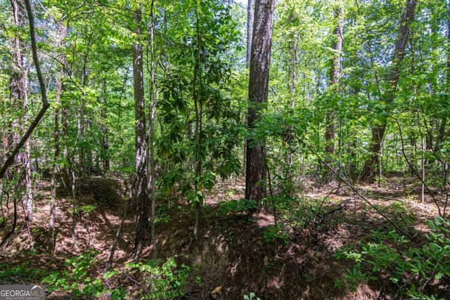 45 Cornish Trace Drive, Covington, GA 30014