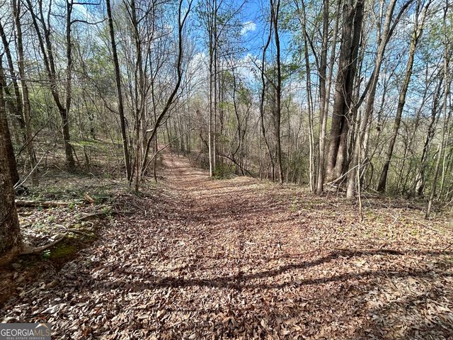 631 Jim Grizzle Road, Royston, GA 30662