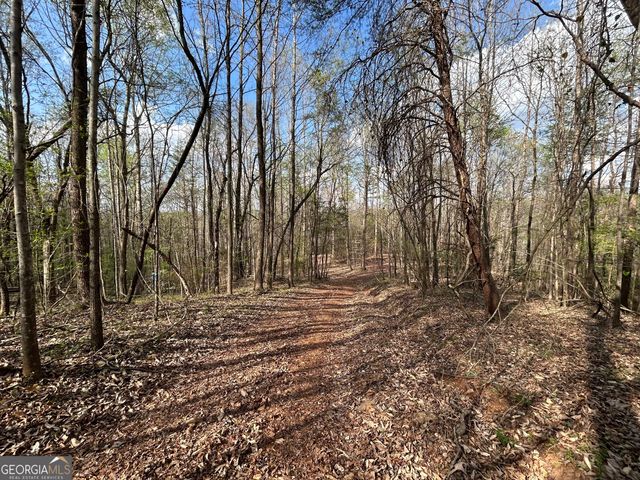 631 Jim Grizzle Road, Royston, GA 30662