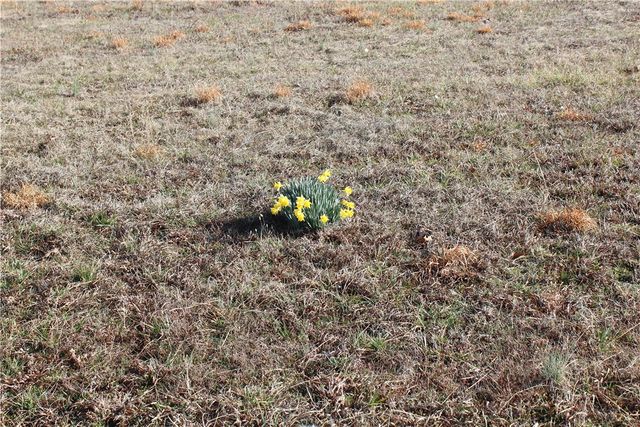 230 Cedar Creek Road, Center Ridge, AR 72027