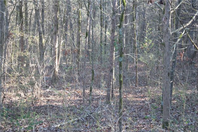230 Cedar Creek Road, Center Ridge, AR 72027
