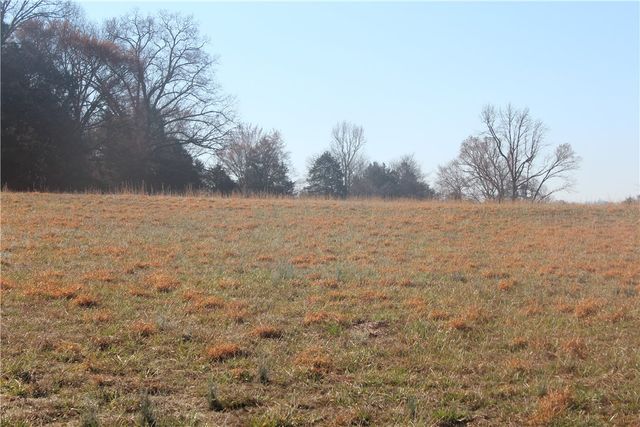 230 Cedar Creek Road, Center Ridge, AR 72027