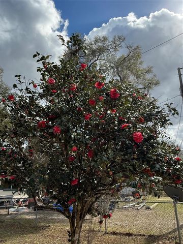 2309 SE 45TH TERRACE, Gainesville, FL 32608