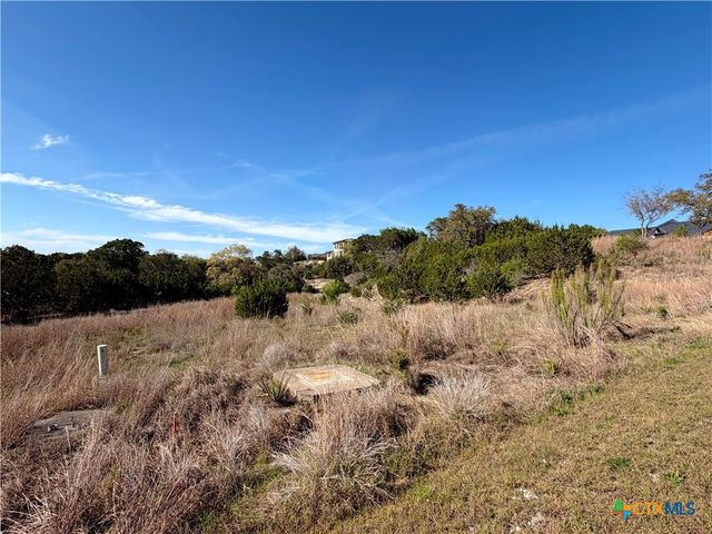 126 Riddle Road, Spring Branch, TX 78070