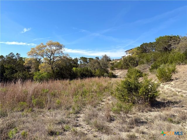 126 Riddle Road, Spring Branch, TX 78070