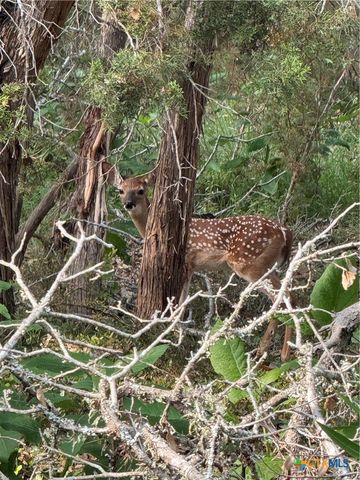 126 Riddle Road, Spring Branch, TX 78070