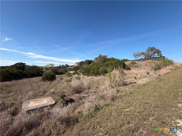 126 Riddle Road, Spring Branch, TX 78070