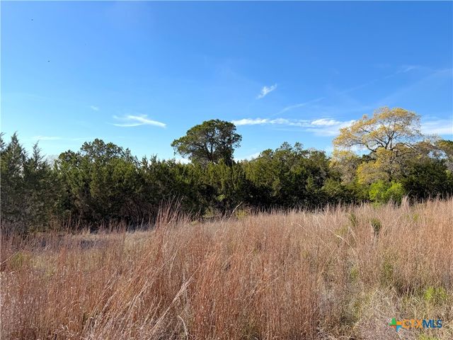 126 Riddle Road, Spring Branch, TX 78070