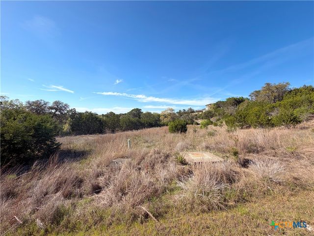 126 Riddle Road, Spring Branch, TX 78070