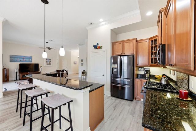 3850 CREEKSIDE PARK DR, Parrish, FL 34219