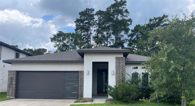 14322 Winema View Lane, Conroe, TX 77384