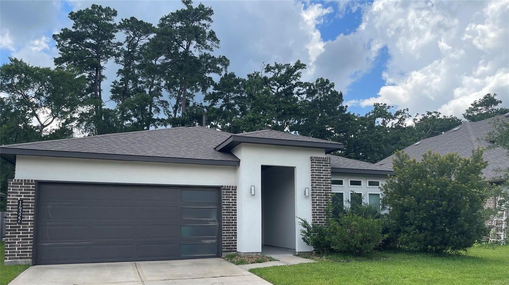 14322 Winema View Lane, Conroe, TX 77384