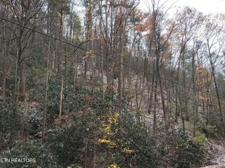 Lot 35/36 Alpine Drive, Sevierville, TN 37876