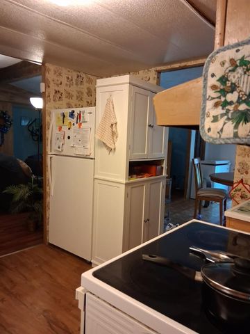 13600 NE 166TH STREET, Fort Mc Coy, FL 32134